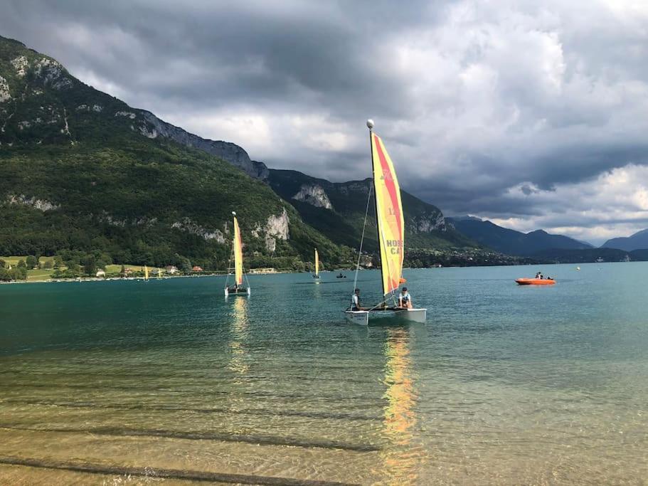 Appartement Proche Centre Ville Avec Parking Gratuit Annecy Dış mekan fotoğraf