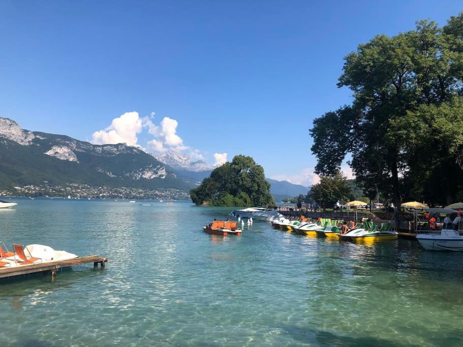 Appartement Proche Centre Ville Avec Parking Gratuit Annecy Dış mekan fotoğraf