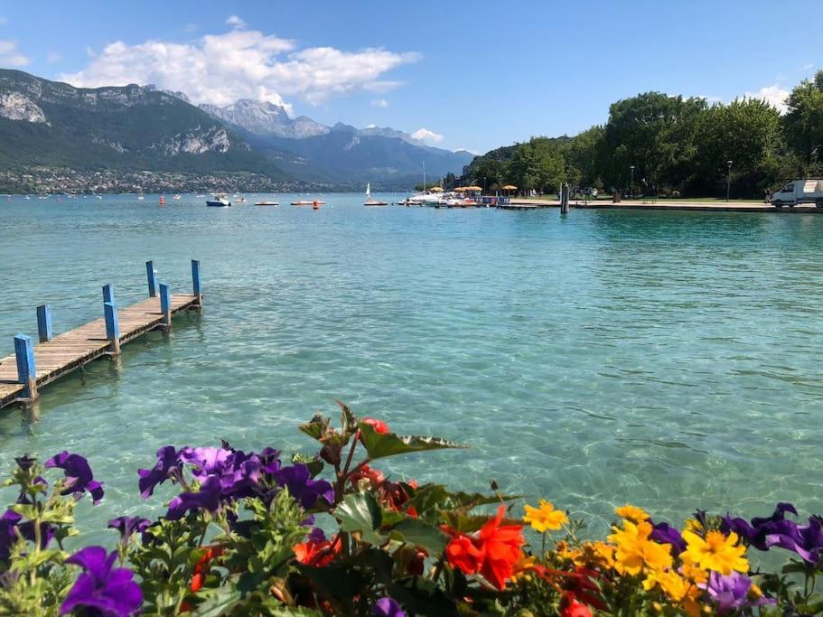 Appartement Proche Centre Ville Avec Parking Gratuit Annecy Dış mekan fotoğraf